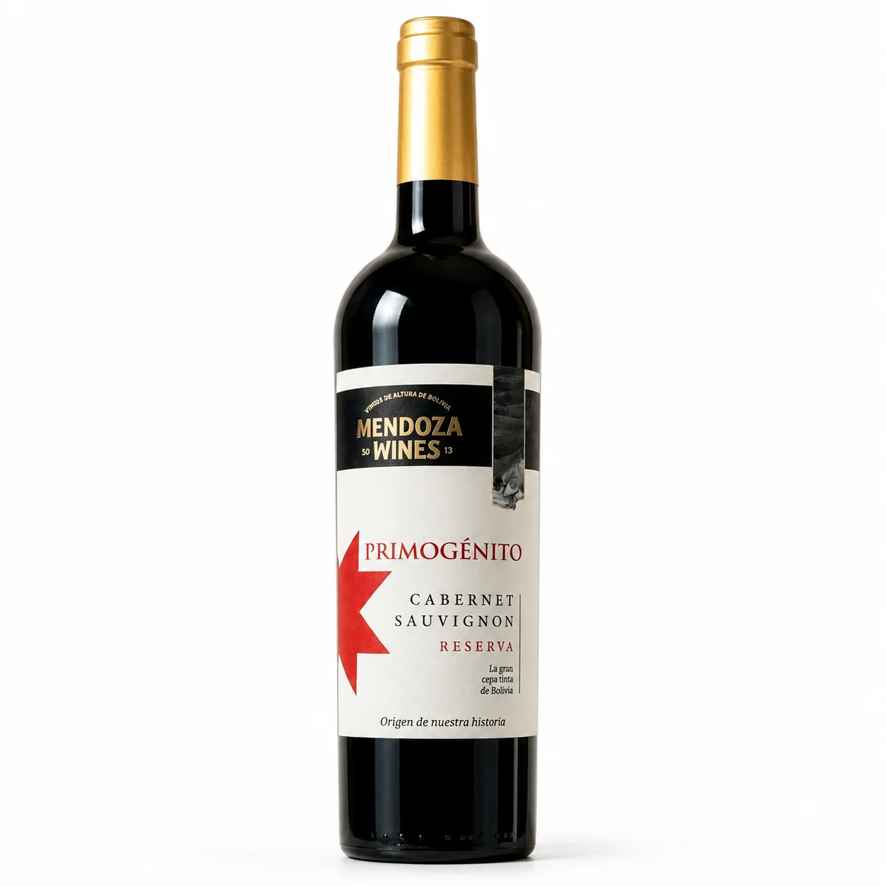 Mendoza Wines Primogénito Cabernet Sauvignon